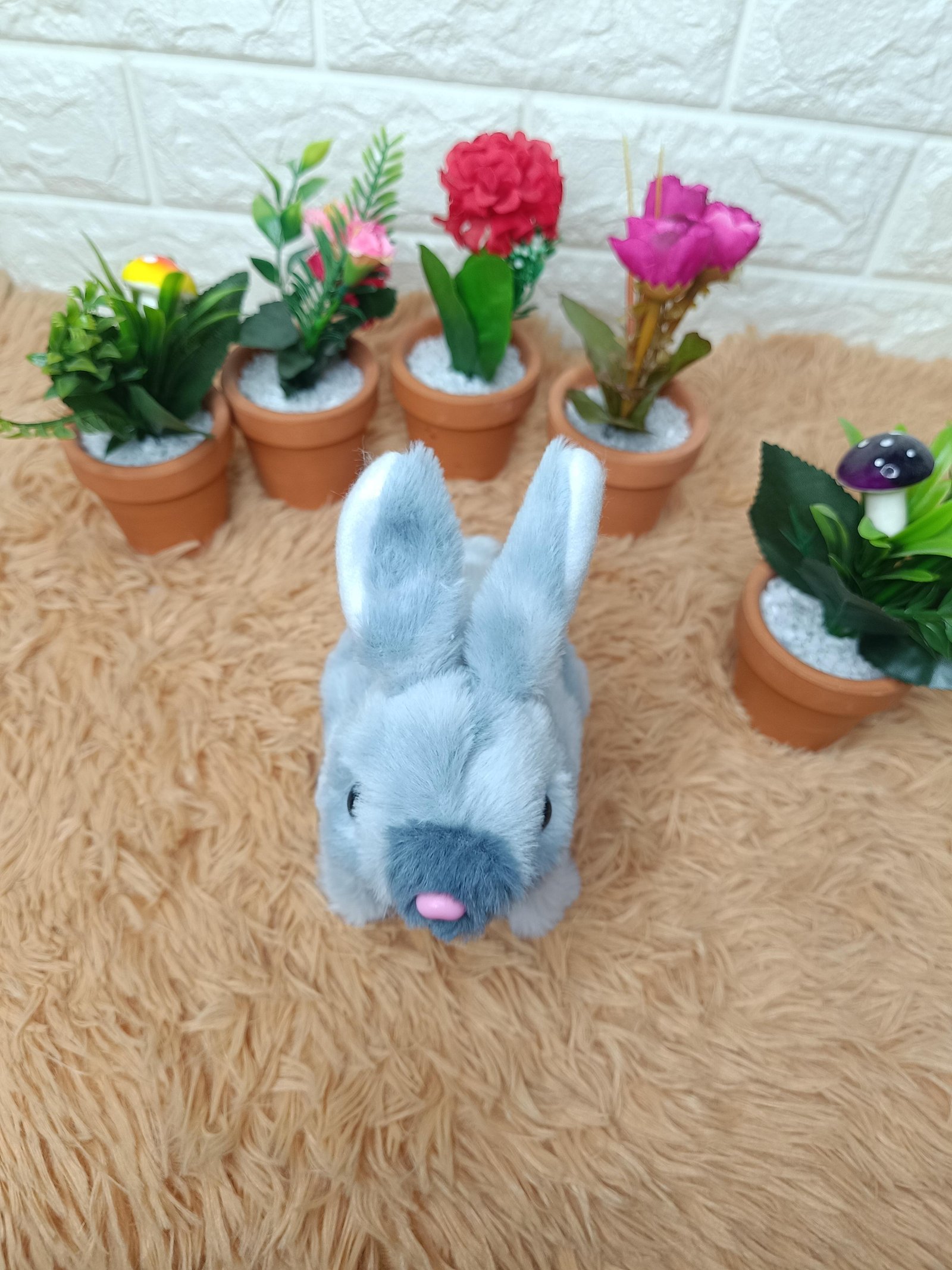  lapin لعبة الارنب