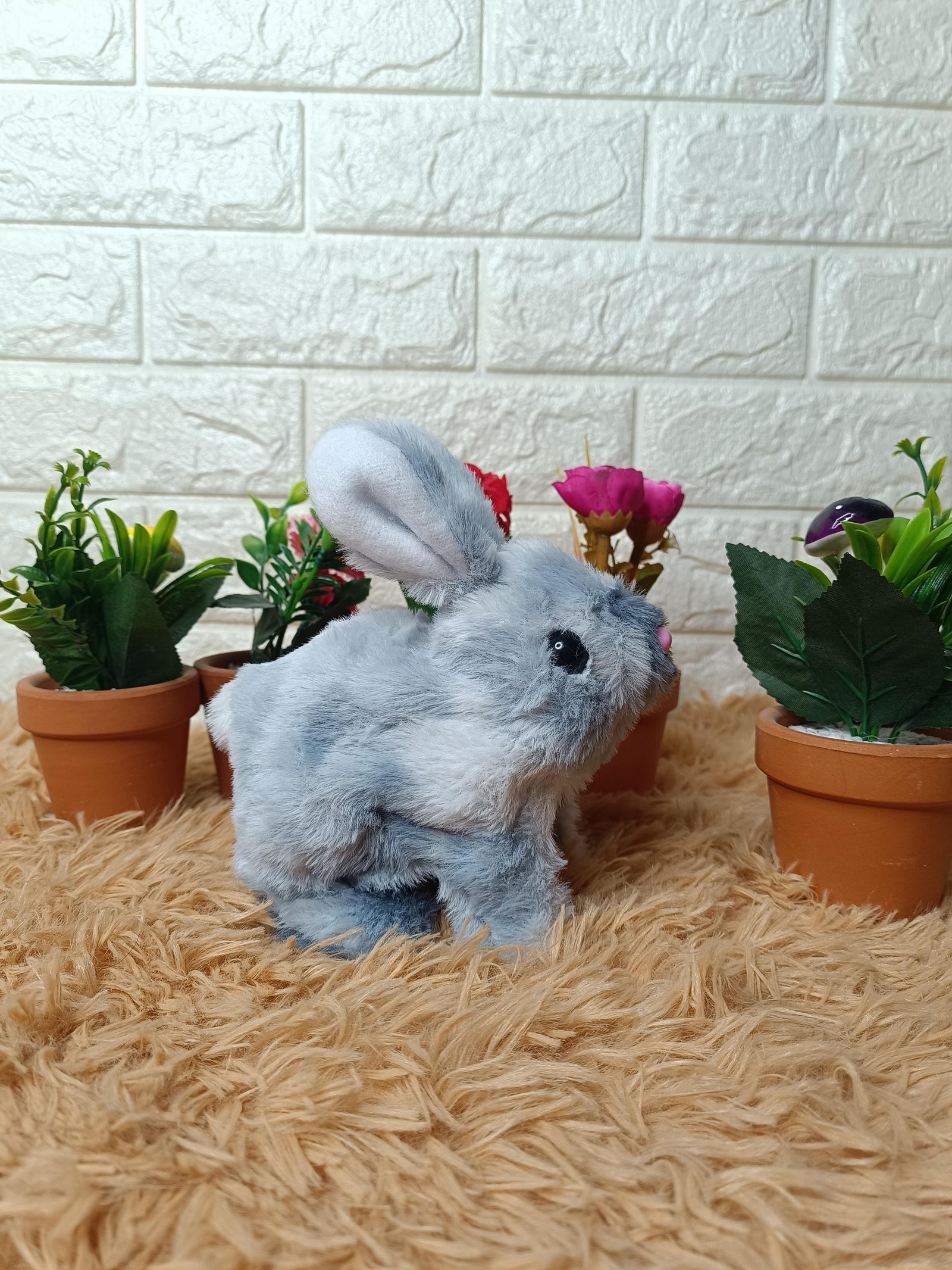  lapin لعبة الارنب