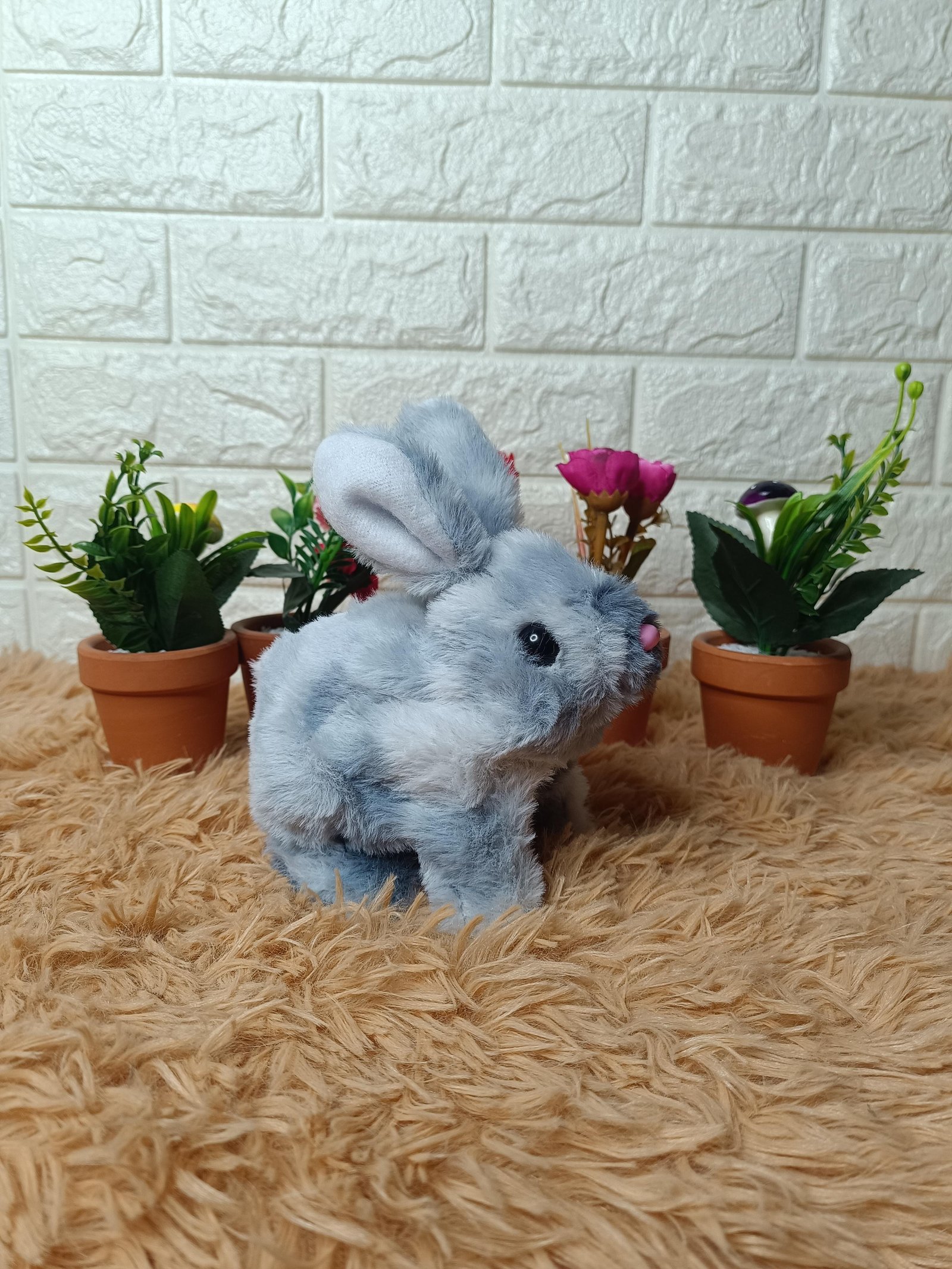  lapin لعبة الارنب